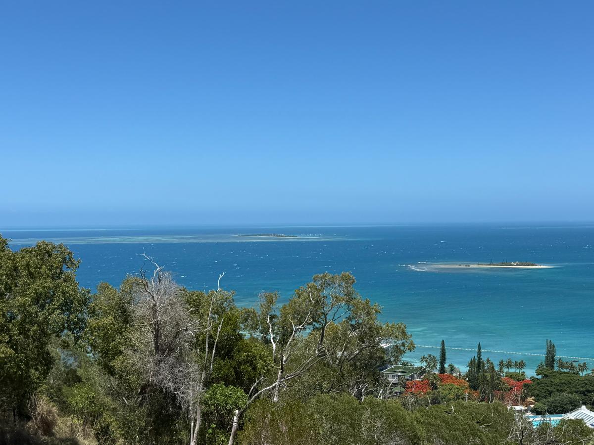 Une galerie de photos du pays
